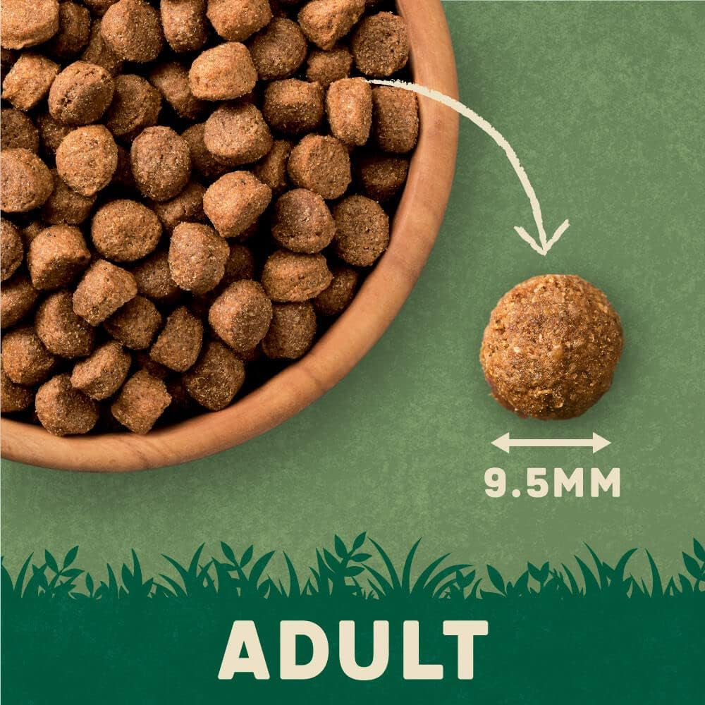 Complete Dry Adult Dog Food Lamb & Rice 4Kg (Pack of 3)