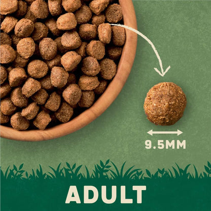 Complete Dry Adult Dog Food Lamb & Rice 4Kg (Pack of 3)