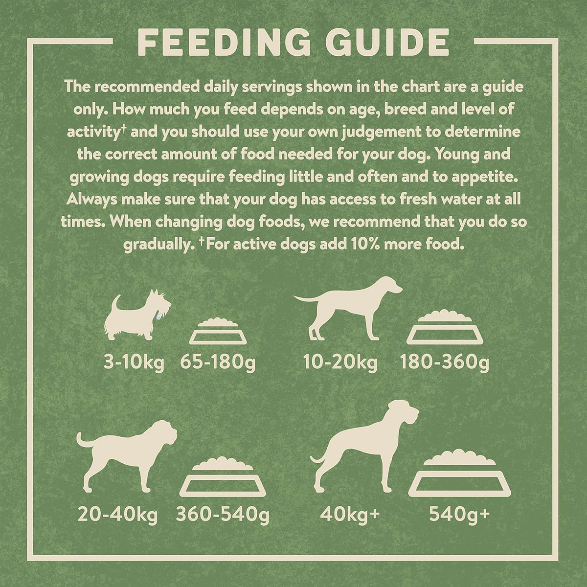 Complete Dry Adult Dog Food Lamb & Rice 4Kg (Pack of 3)