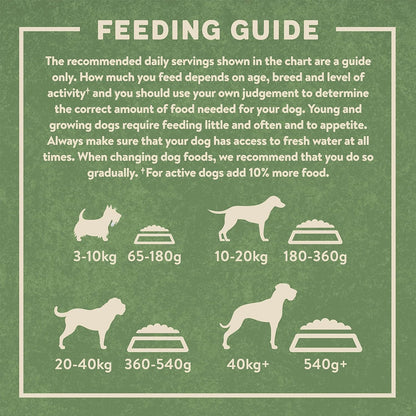 Complete Dry Adult Dog Food Lamb & Rice 4Kg (Pack of 3)